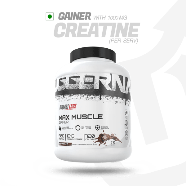 Max Muscle Gainer (Rich Chocolate) 15 servings